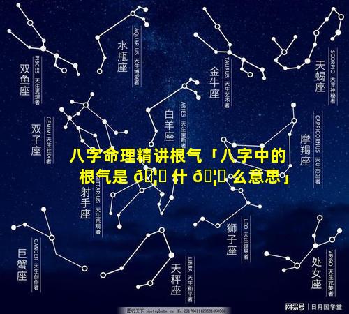 八字命理精讲根气「八字中的根气是 🦈 什 🦅 么意思」